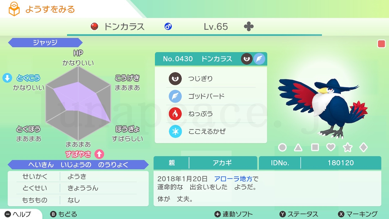 No.0430 ドンカラス♂（親 アカギ:180120）