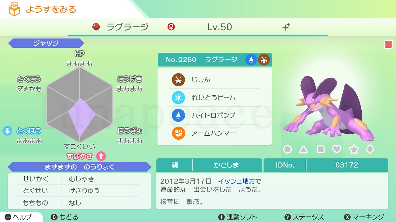 No.0260 ラグラージ✦♀（親 かごしま:03172）