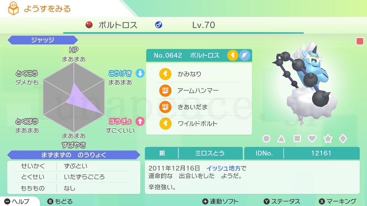 No.0642 ボルトロス♂（親 ミロスとう:12161）