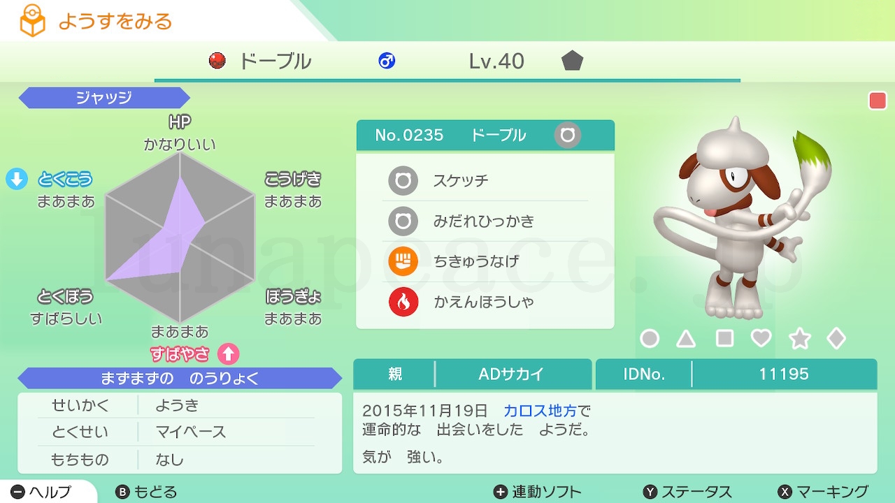 No.0235 ドーブル♂（親 ADサカイ:11195）