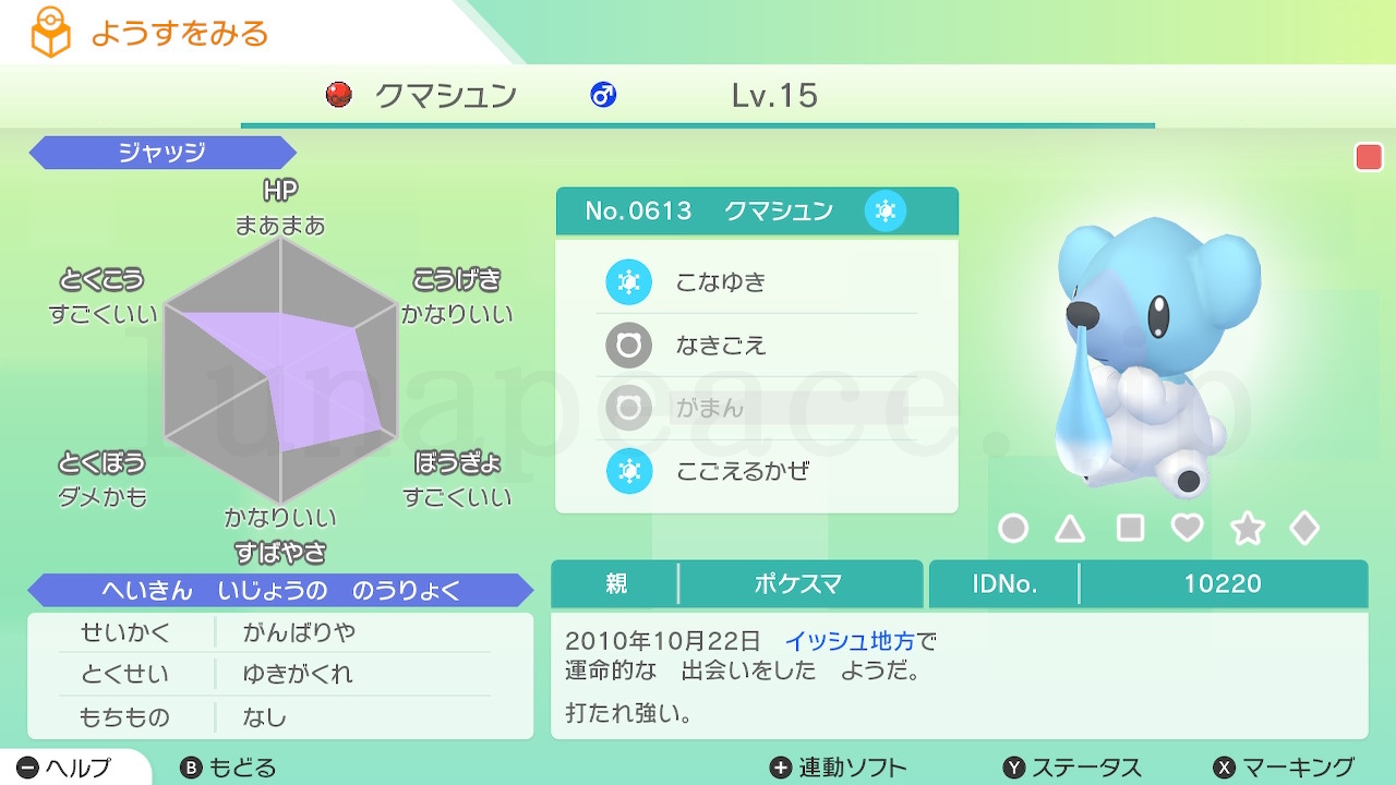 No.0613 クマシュン♂（親 ポケスマ:10220）