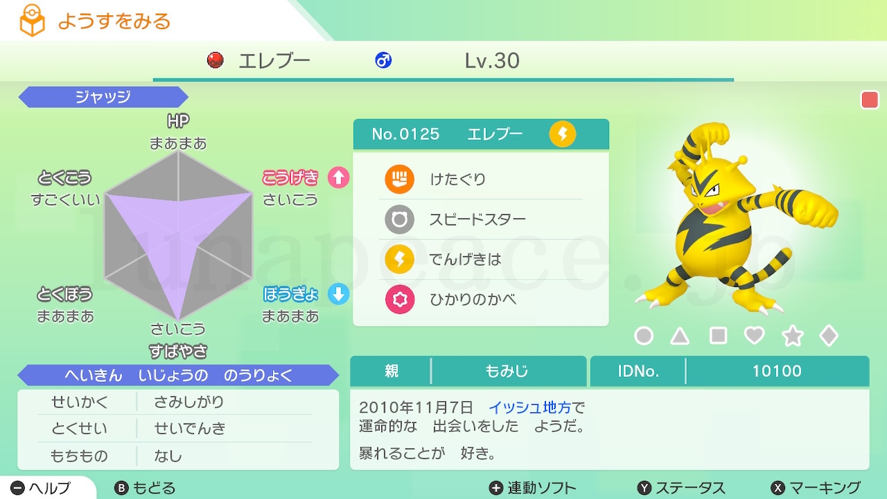 No.0125 エレブー♂（親 もみじ:10100）