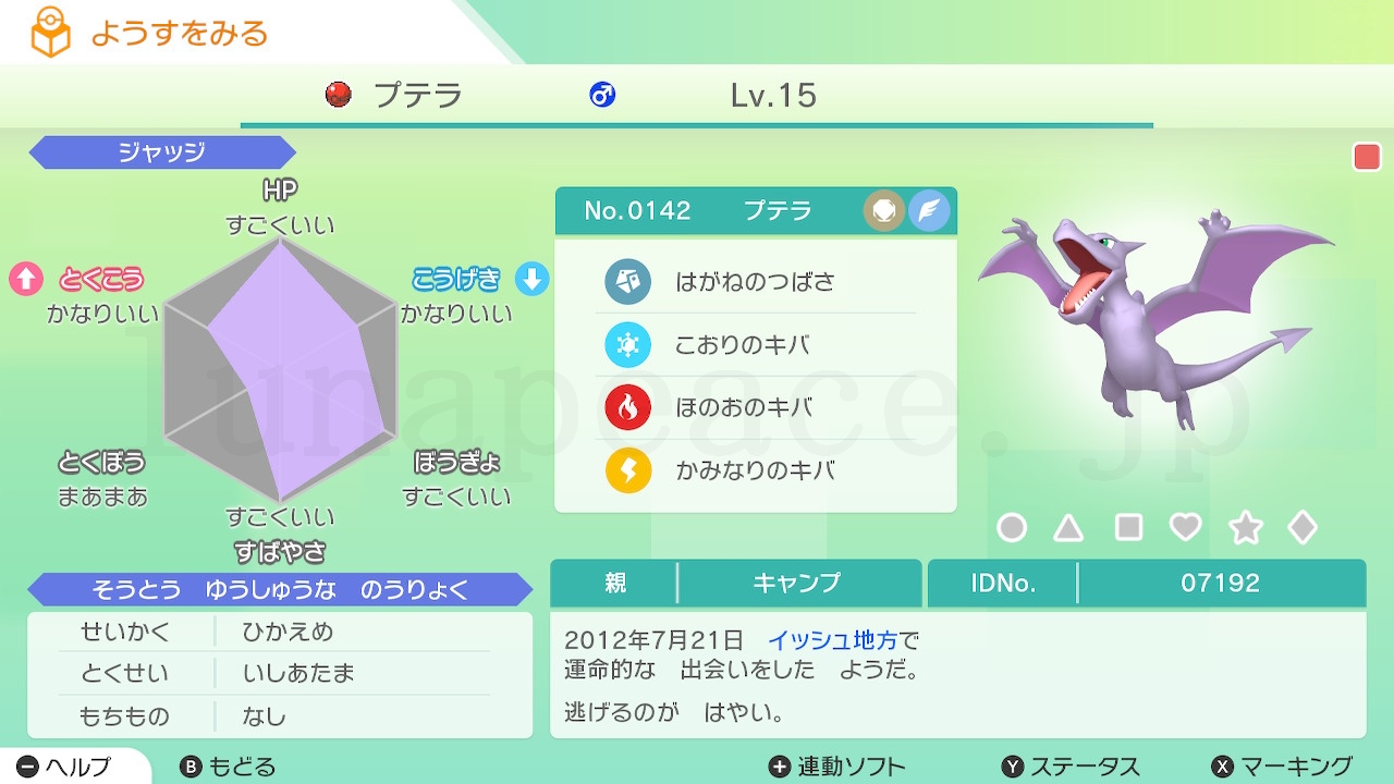 No.0142 プテラ♂（親 キャンプ:07192）