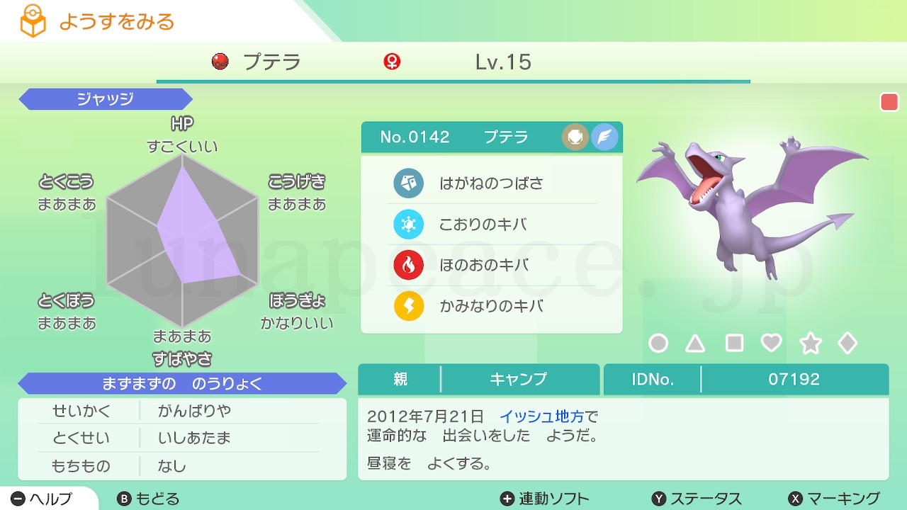 No.0142 プテラ♀（親 キャンプ:07192）