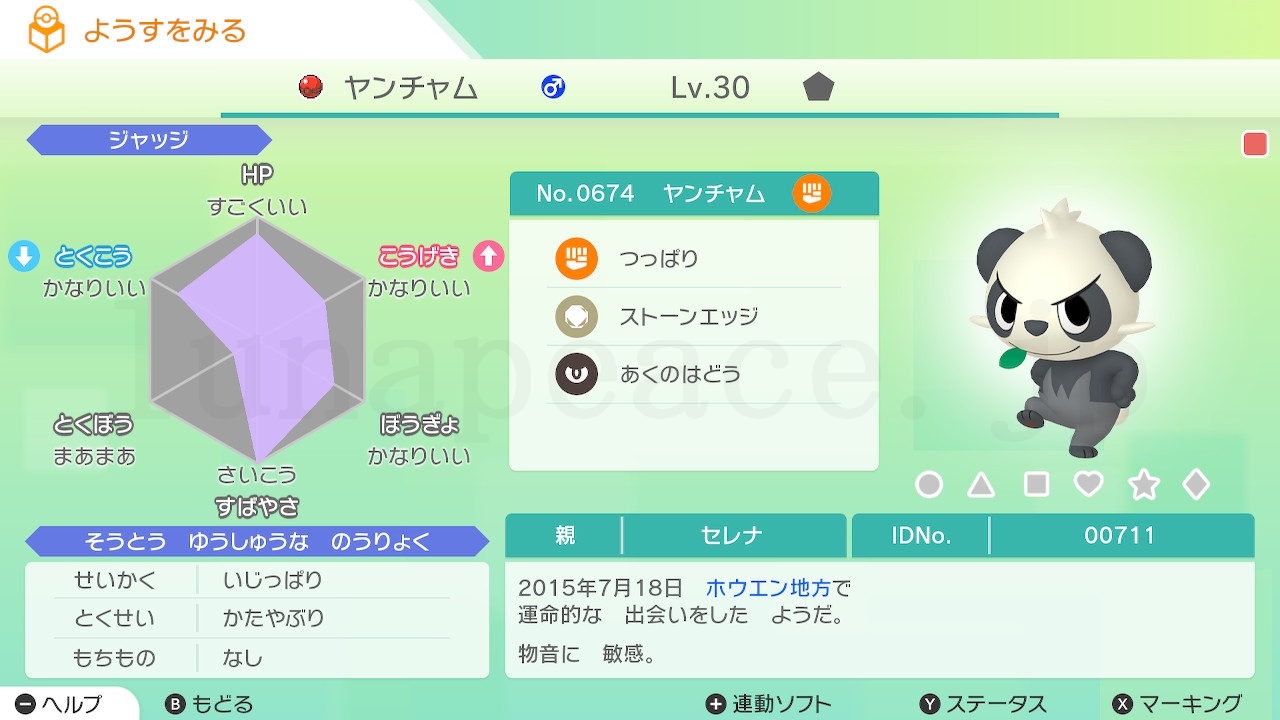 No.0674 ヤンチャム♂（親 セレナ:00711）