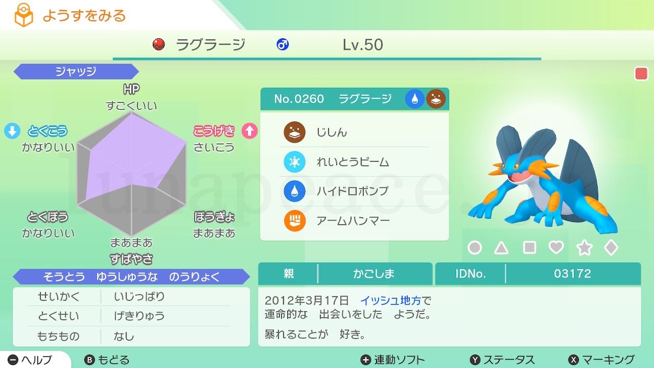 No.0260 ラグラージ♂（親 かごしま:03172）