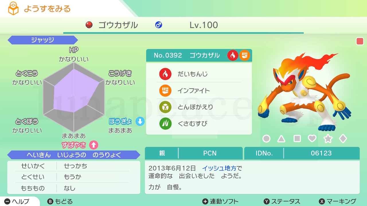 No.0392 ゴウカザル♂（親 PCN:06123）