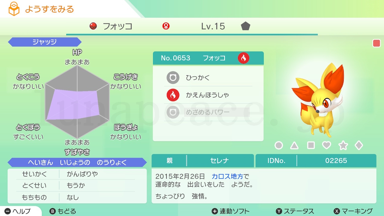 No.0653 フォッコ♀（親 セレナ:02265）