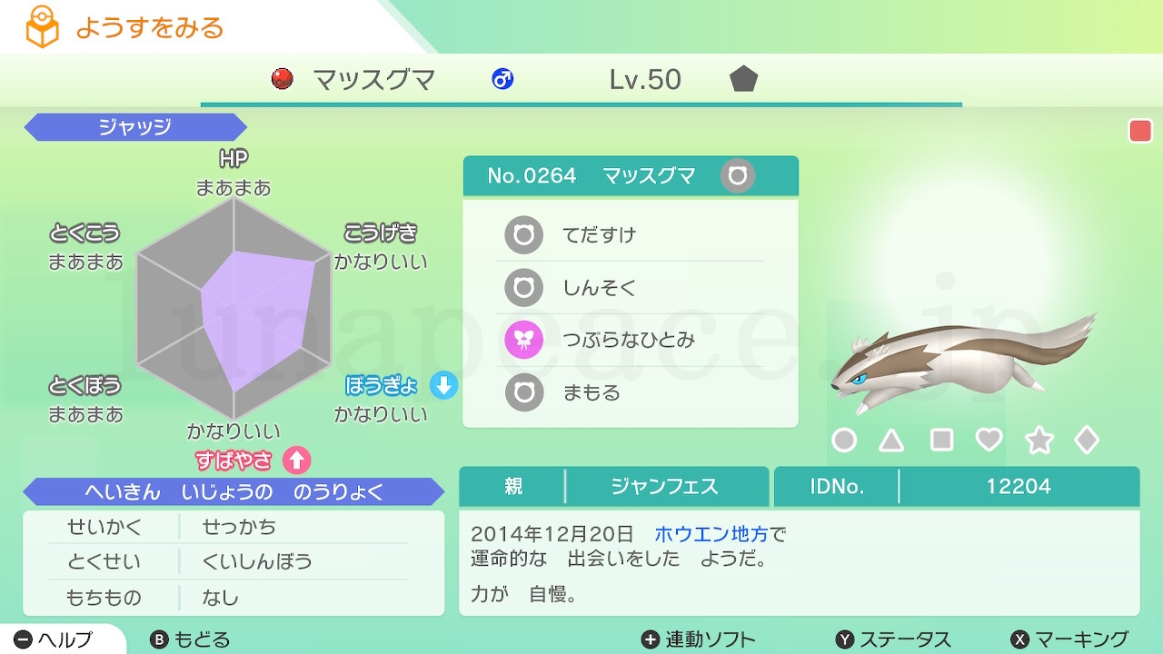 No.0264 マッスグマ♂（親 ジャンフェス:12204）