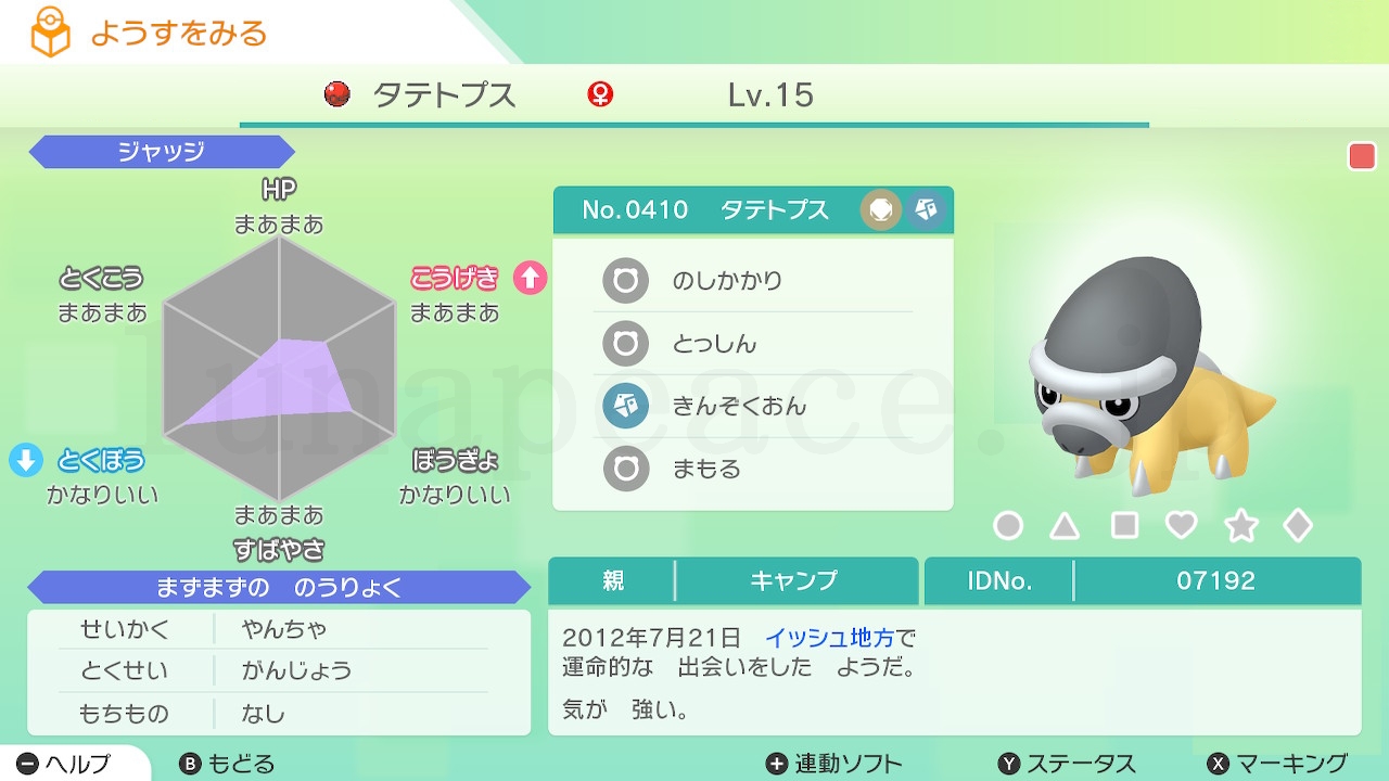 No.0410 タテトプス♀（親 キャンプ:07192）