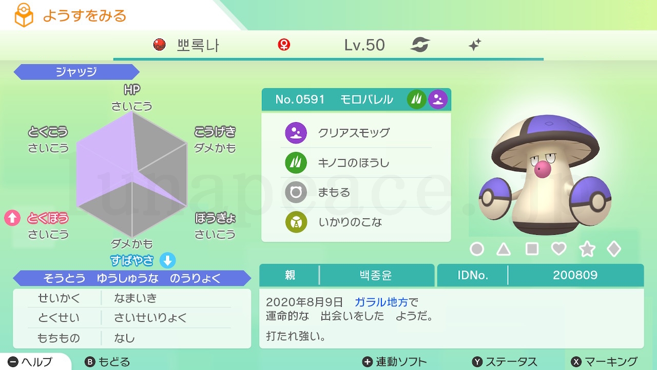 No.0591 モロバレル✦♀（親 백종윤:200809）