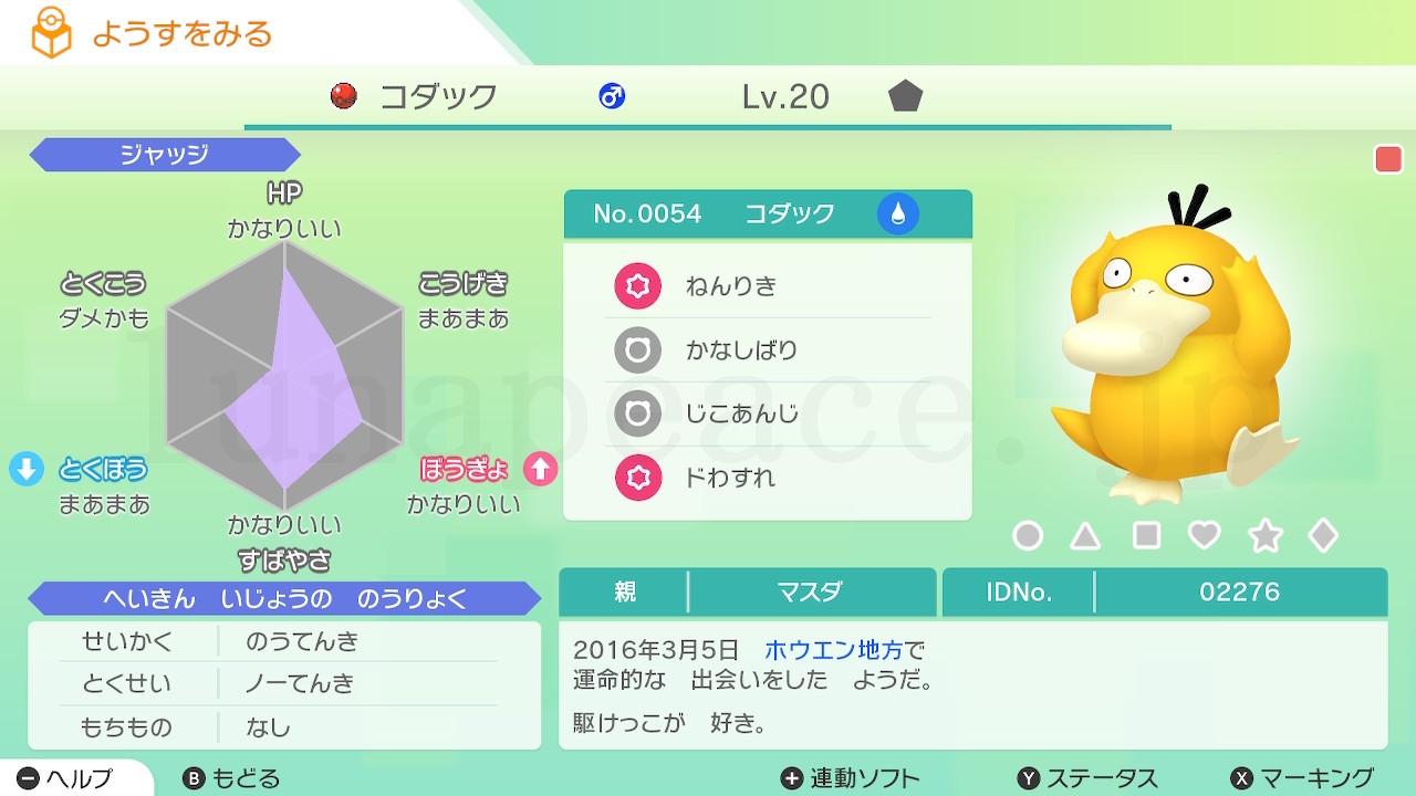 No.0054 コダック♂（親 マスダ:02276）