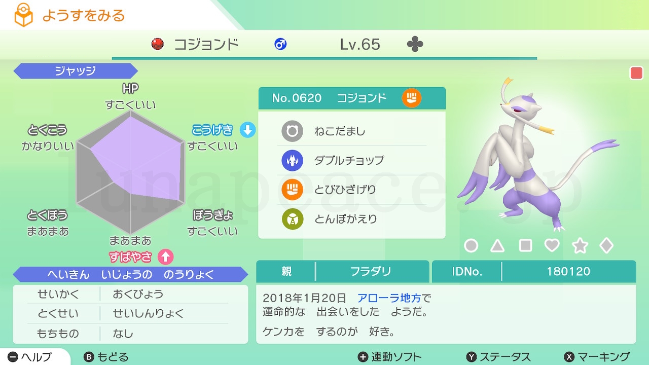 No.0620 コジョンド♂（親 フラダリ:180120）