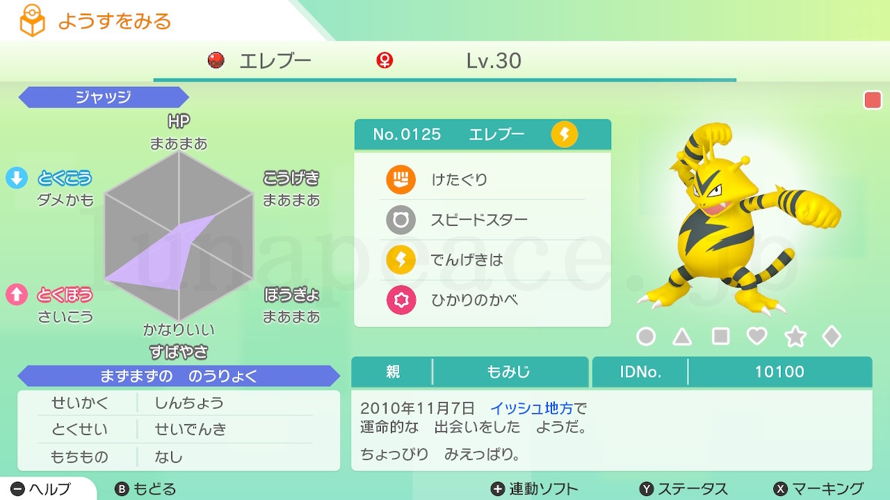 No.0125 エレブー♀（親 もみじ:10100）