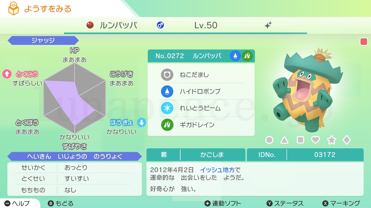 No.0272 ルンパッパ✦♂（親 かごしま:03172）