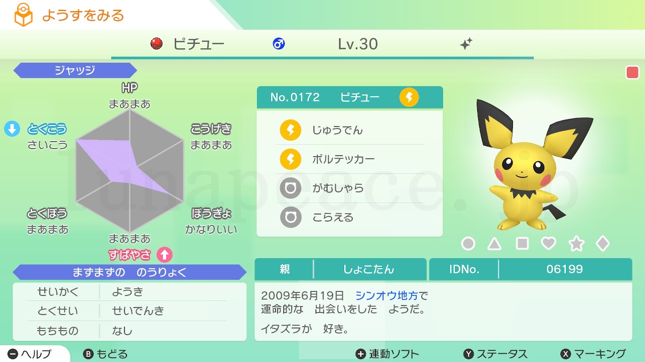 No.0172 ピチュー✦♂（親 しょこたん:06199）