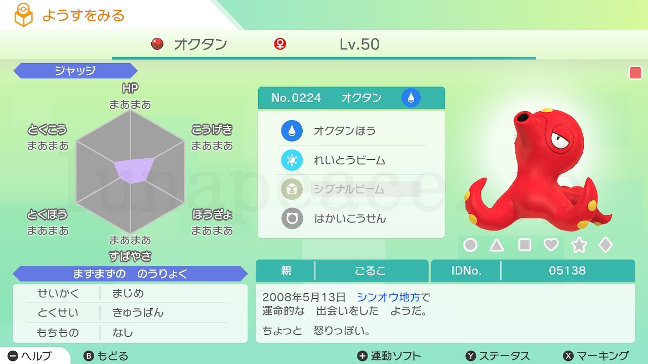 No.0224 オクタン♀（親 ごるこ:05138）