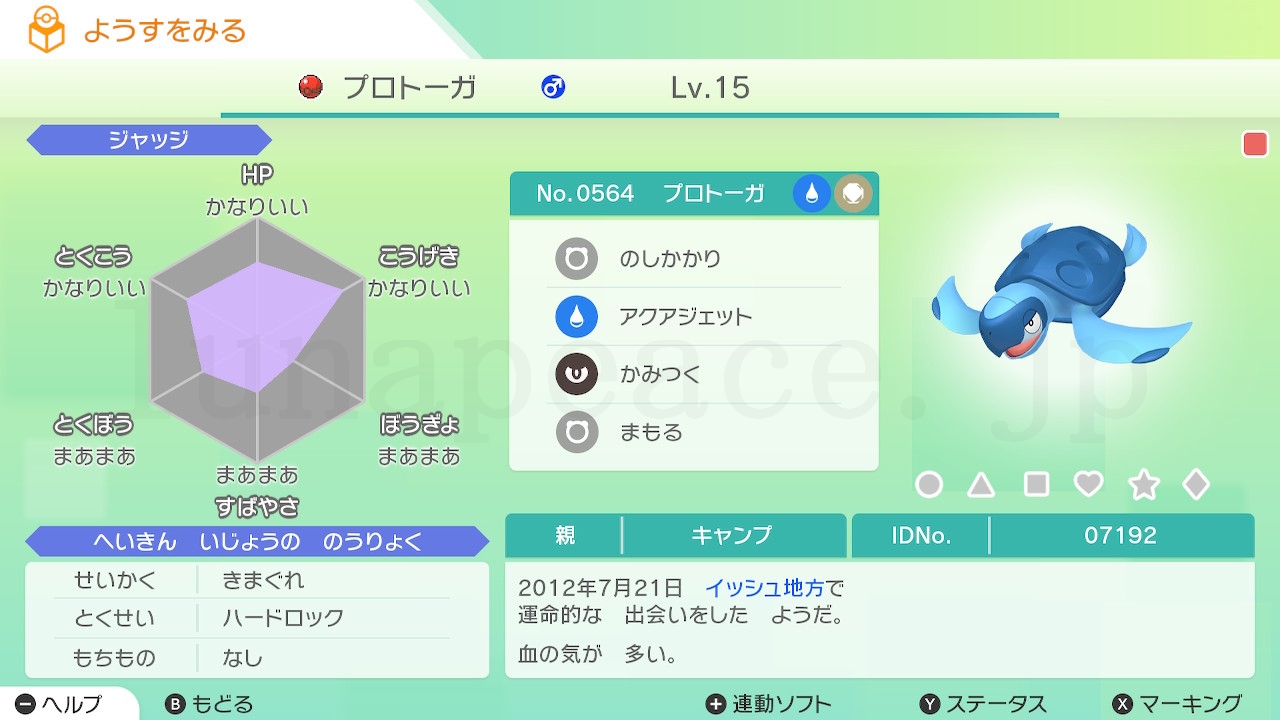 No.0564 ブロトーガ♂（親 キャンプ:07192）