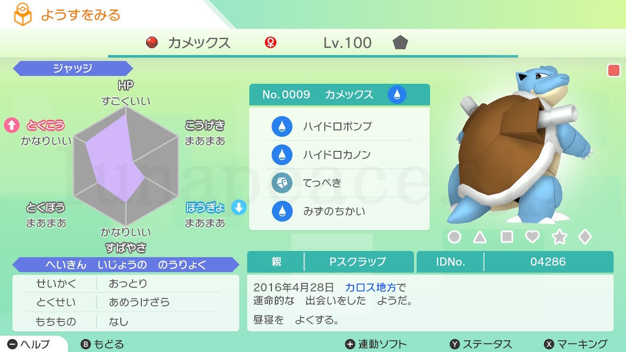 No.0009 カメックス♀（親 Pスクラップ:04286）