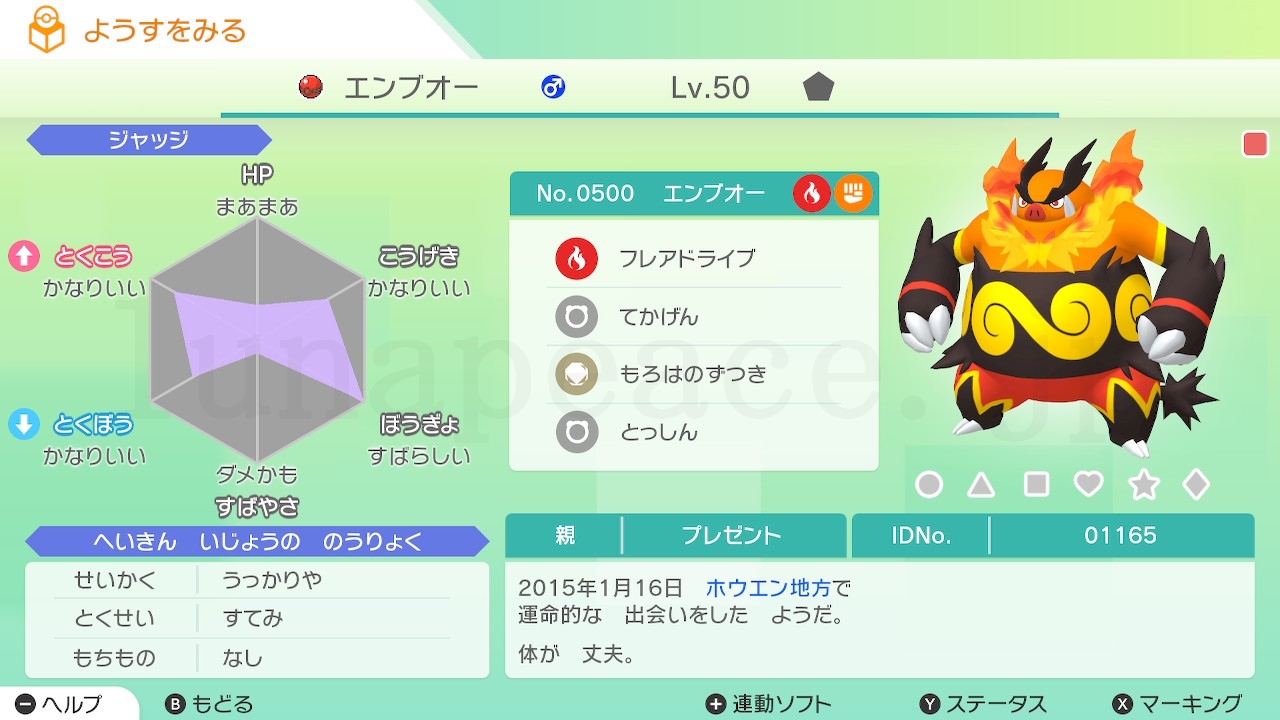 No.0500 エンブオー♂（親 プレゼント:01165）