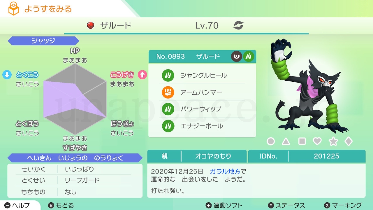 No.0893 とうちゃんザルード（親 オコヤのもり:201225）